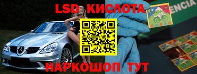 прущие грибы Иваново