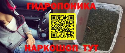 прущие грибы Иваново