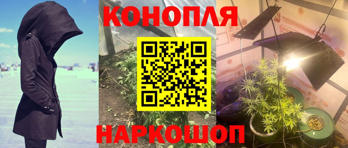 Конопля Ganja  МАРИХУАНА планчик  Каннабис Amnesia  Большой Камень  Вход с VPN 